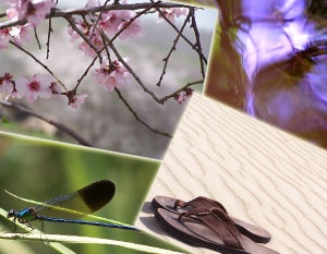 תמונות שצילם אלון